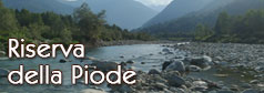 La 'Riserva della Piode'