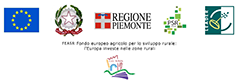 Enti di coordinamento della misura