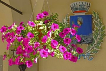 Palazzo Comunale  - Stemma