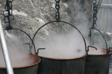 la paniccia
